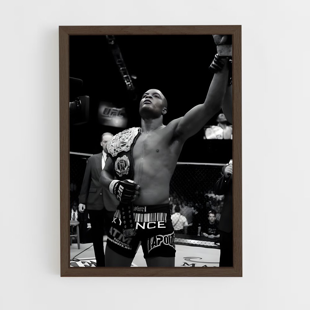 Poster Anderson de silva – affiche Taekwondo (vue 5)